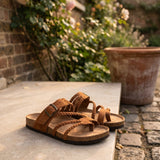 Lifestyle Brown view